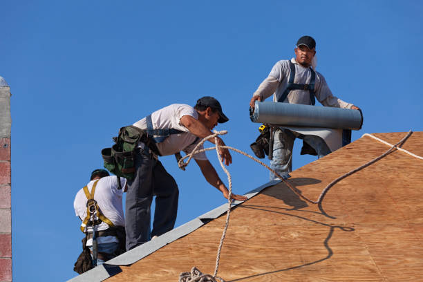 Best Flat Roof Repair Services  in Lansford, PA