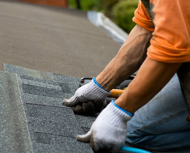 Best Roofing Contractors for Homes  in Lansford, PA